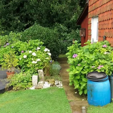 Ferienwohnung Im Waldwinkel Stadthagen Exterior foto