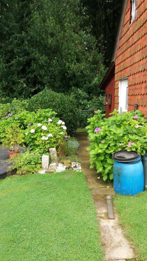 Im Waldwinkel Apartment *